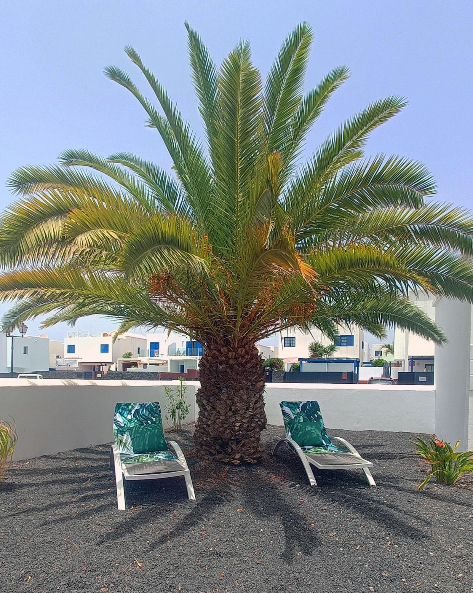 Lovely Casa Felicidad, Swimming Pool, Wifi X Private Garden Playa Blanca  Eksteriør bilde